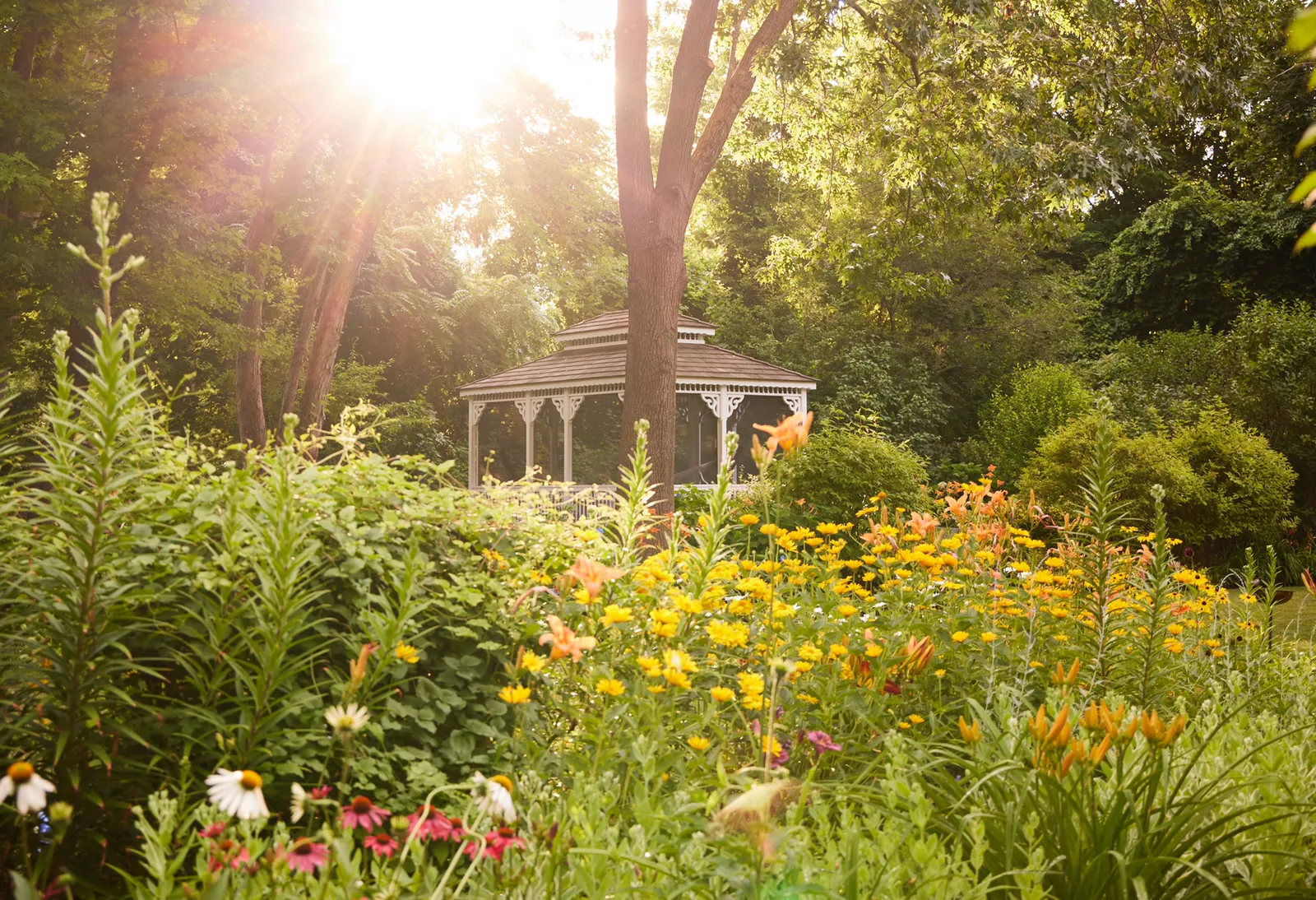 Garden. Planting. Landscaping. Perennial. Annual. Landscape. Garden Design. Pruning. Transplanting. Outdoor Design.