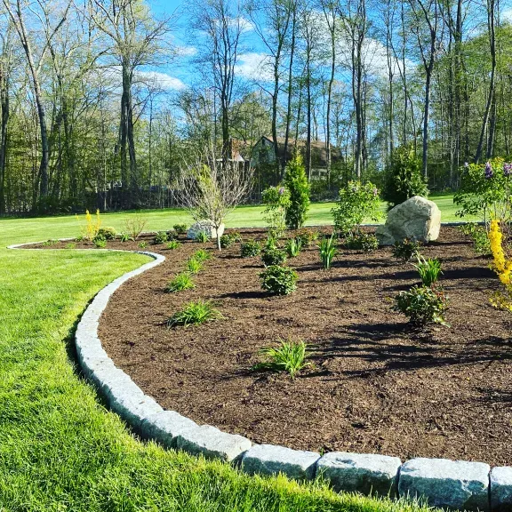 work photo from plantdesigntherapy.com