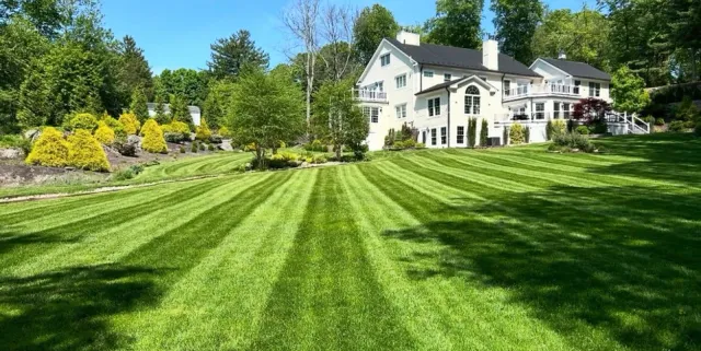 work photo from pristinelandscapesolutions.com