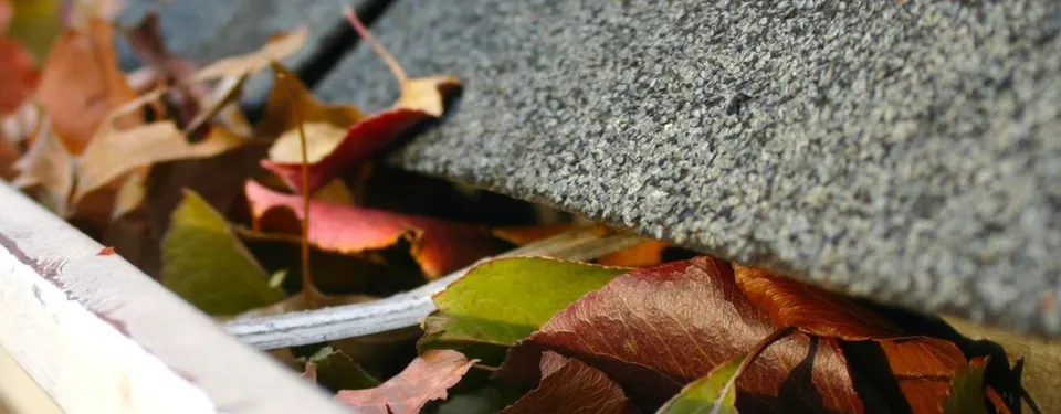 work photo from capescapeslandscaping.com