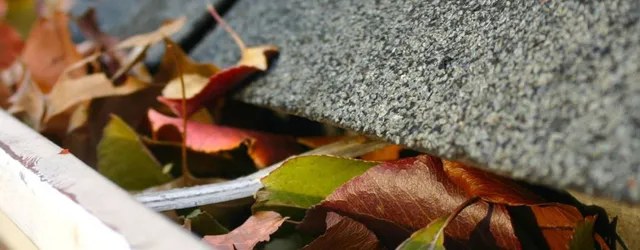 work photo from capescapeslandscaping.com