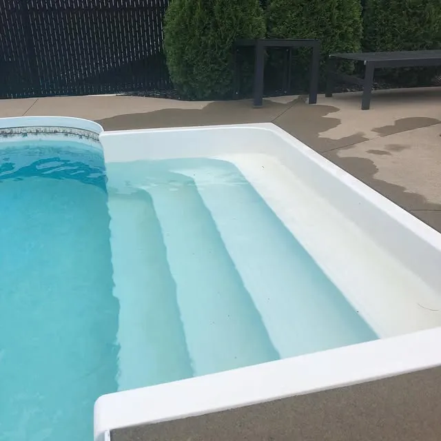 Dan the Pool Man researched project photo