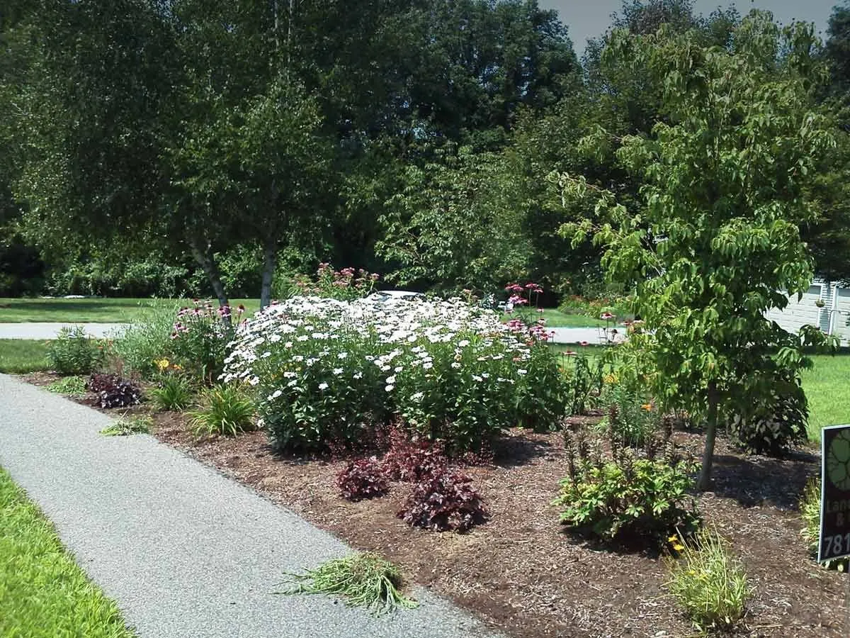 work photo from landartma.com