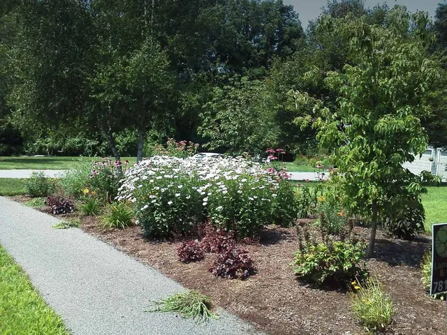 work photo from landartma.com