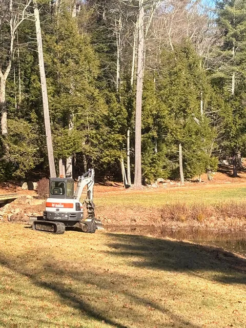 work photo from jtwlandandtree.com