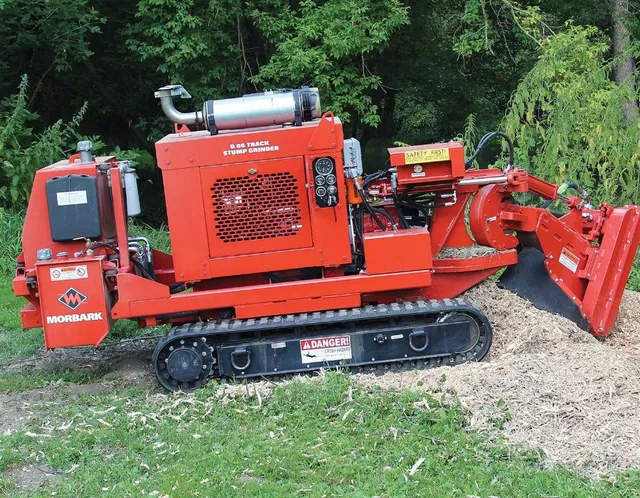 stump grinding services in ri mass ct