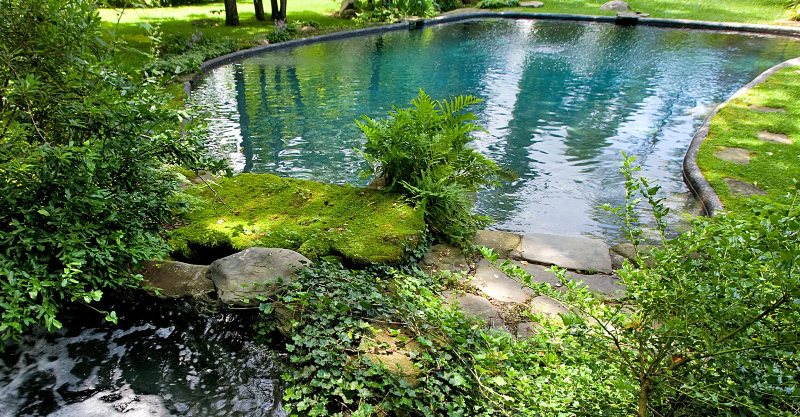 work photo from aquaticdesigns.com