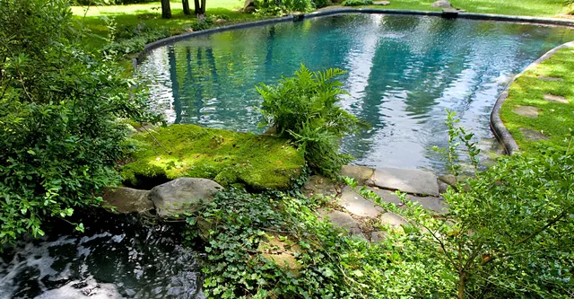 work photo from aquaticdesigns.com