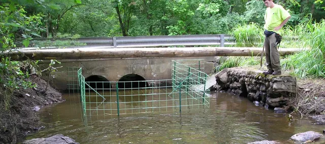 Beaver Solutions - flow management devices, beaver products, beaver problems, beaver removal, beaver control methods, beaver control devices, beaver pond leveler, how to get rid of beavers