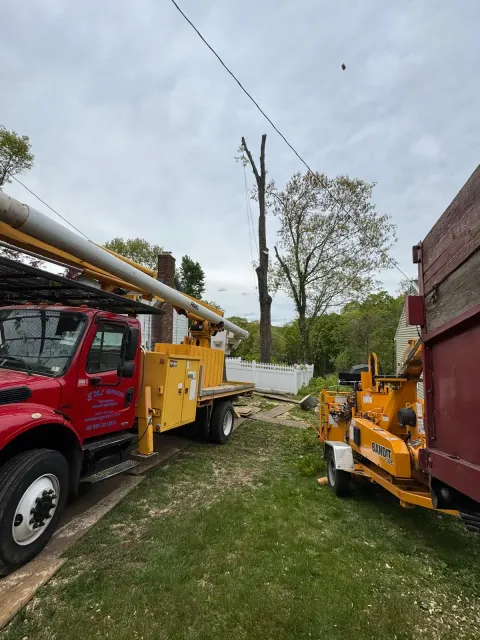 work photo from emltreeservices.com