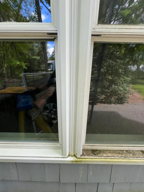 Close-up of two adjacent window panels with some moss and dirt along the bottom edge, outside view shows trees, a blue house, and a driveway.