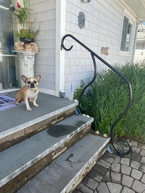 Octupus Railing