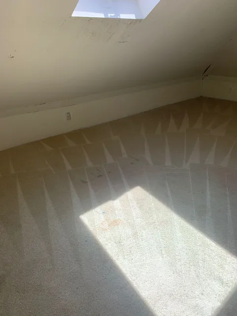 After professional cleaning