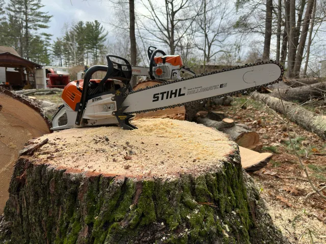 work photo from treeguysinc.com