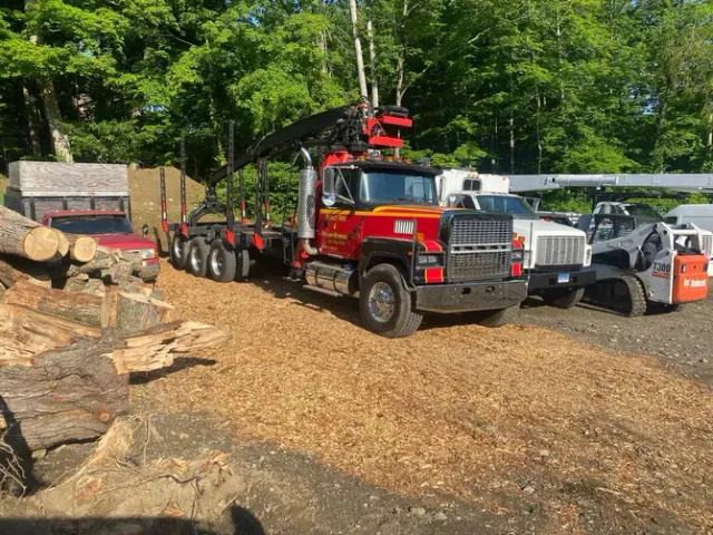 work photo from budgetbilltree.com