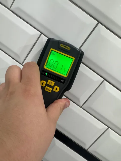 Fast Mold Testing - Boston