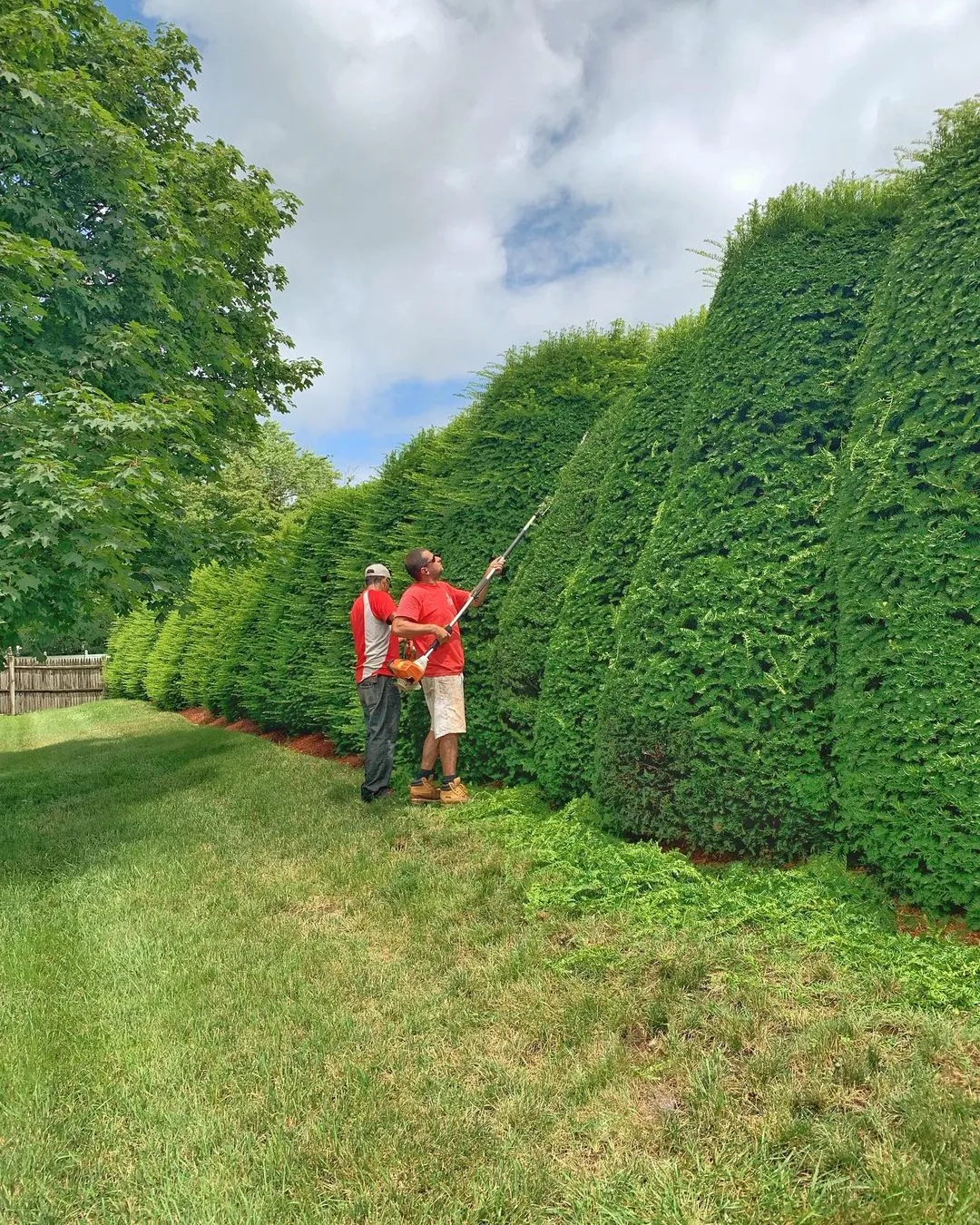 work photo from Google listing