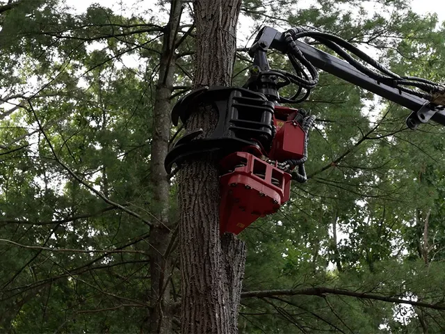 work photo from krohnkutztree.com