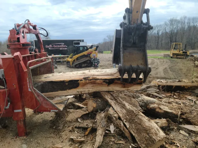 work photo from watsontreeworks.com