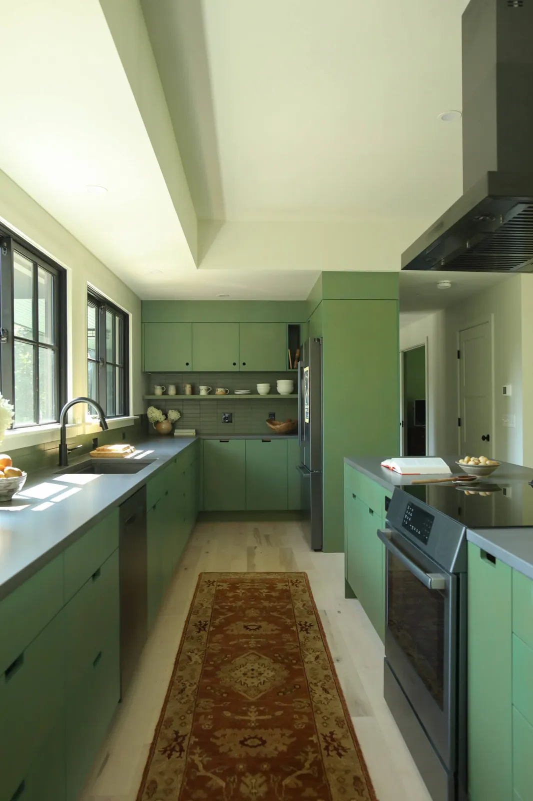williamsburg ma calm green kitchen with burgundy rug modern plywood cabinets and mcm kitchen design