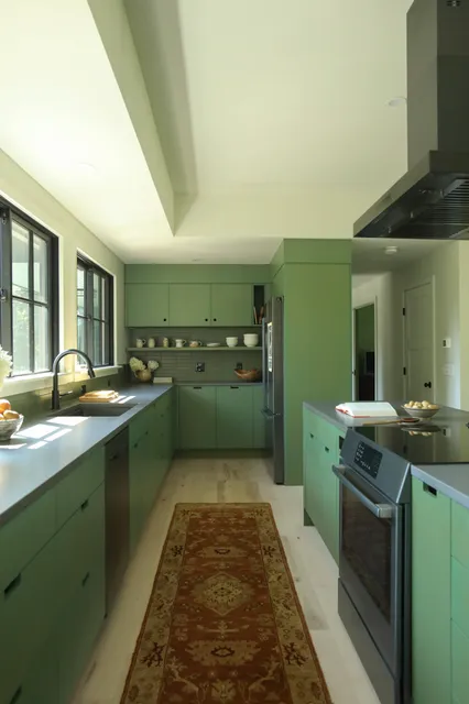 williamsburg ma calm green kitchen with burgundy rug modern plywood cabinets and mcm kitchen design