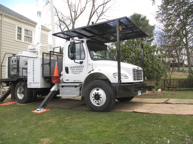 work photo from sandweisstrees.com