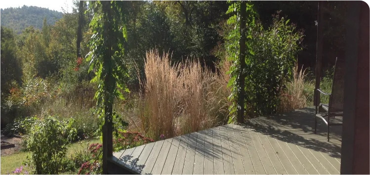 Landscape design and installation project in Western Massachusetts