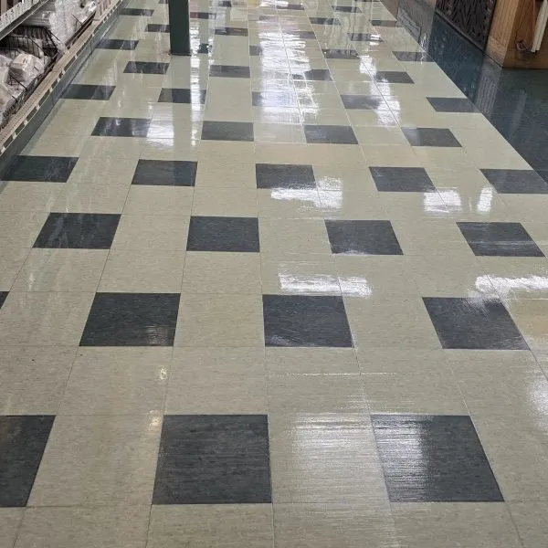 hard floor care