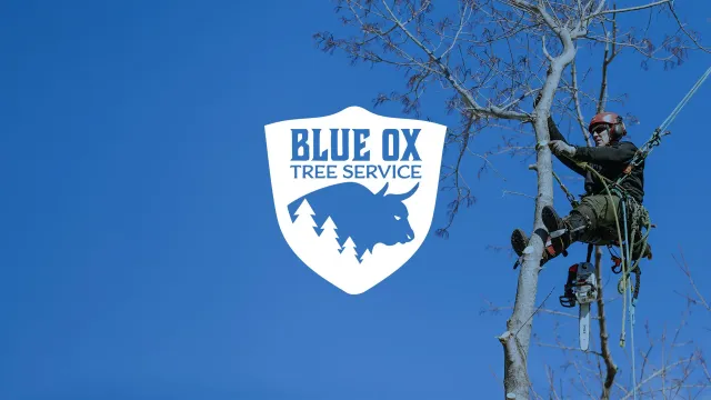 Website-banner-5.jpg