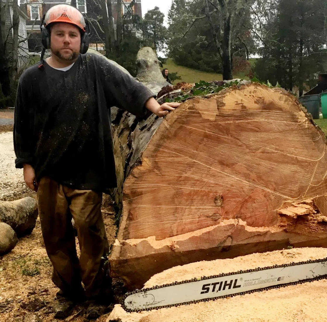 work photo from Google listing