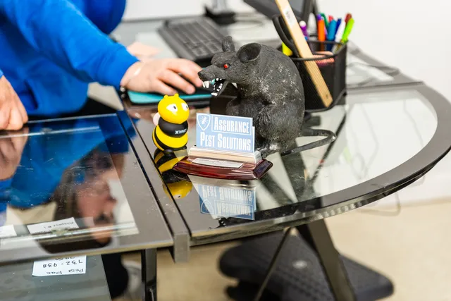 work photo from Google listing