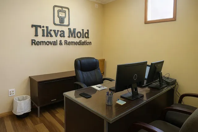 Tikva Mold Removal & Remediation - Dracut, MA work photo
