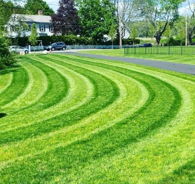 Lawn mowing