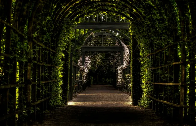 work photo from briggslandscapedesign.squarespace.com