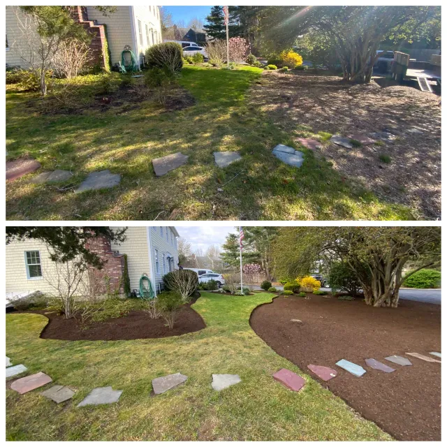 TAKA Tree Landscape Lawn Maintenance