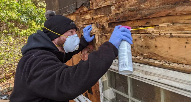 Sudbury Pest Solutions work photo
