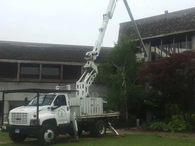 work photo from sandovaltreeservice.com