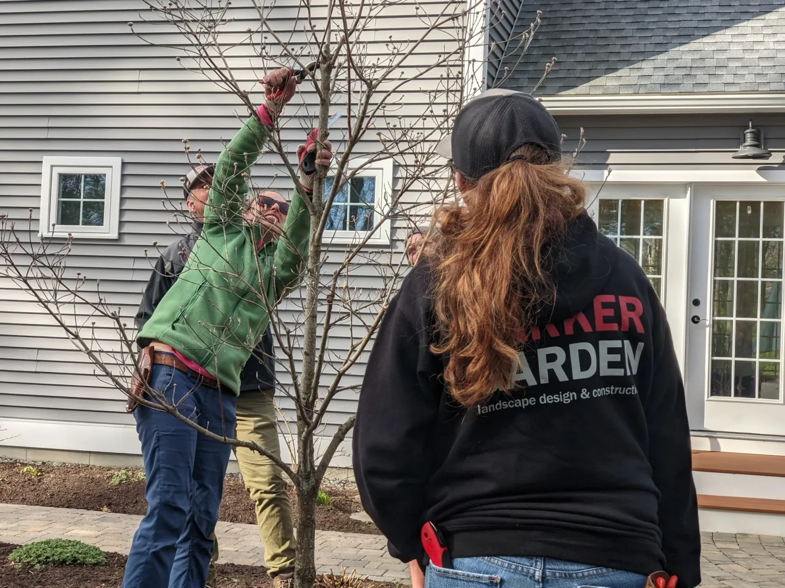 2014-04-14_collins-pruning6.jpg
