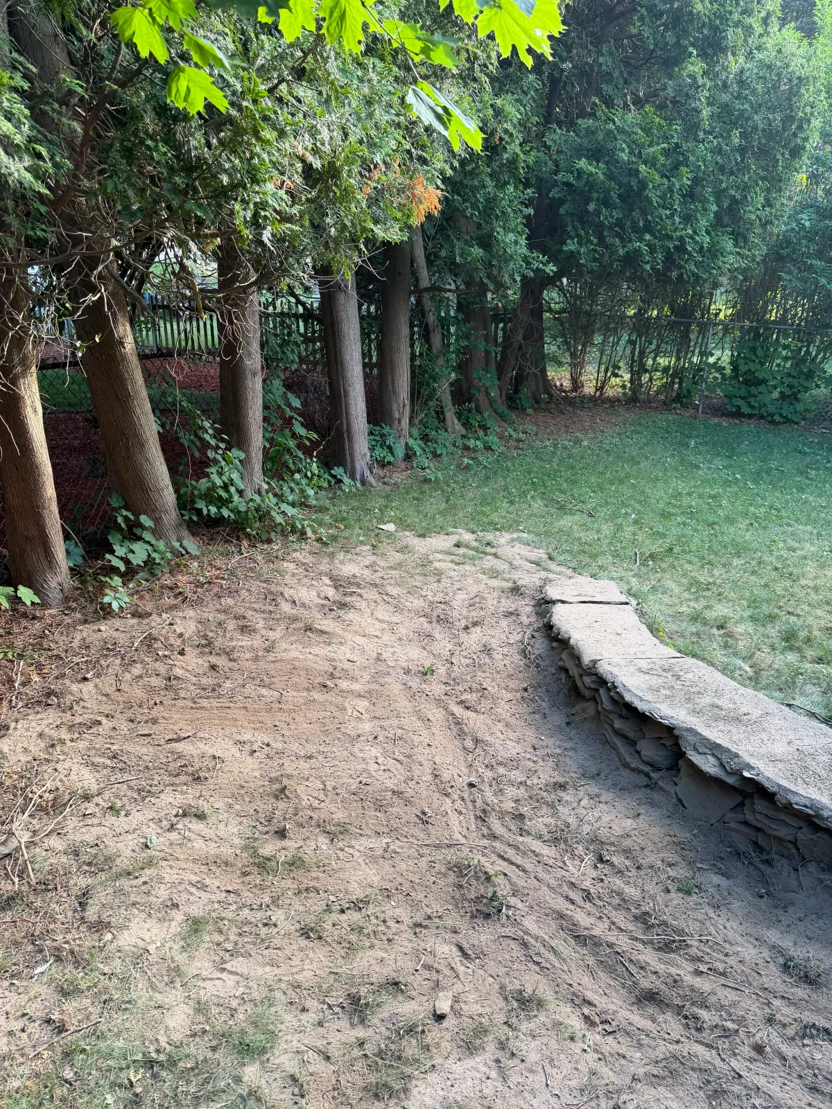 Tree bush Removal