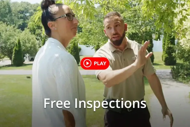 work photo from ctpestsolutions.com