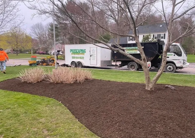 Proscaping Lawn Care and Landscaping work photo