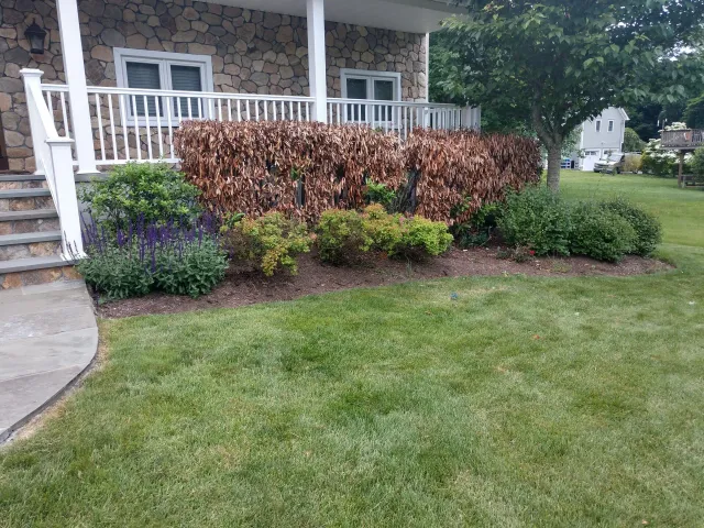 work photo from damatolandscaping.com