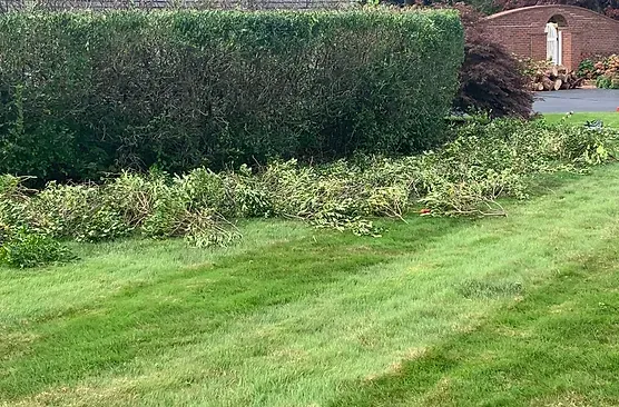 M&N Lawn Care INC researched project photo