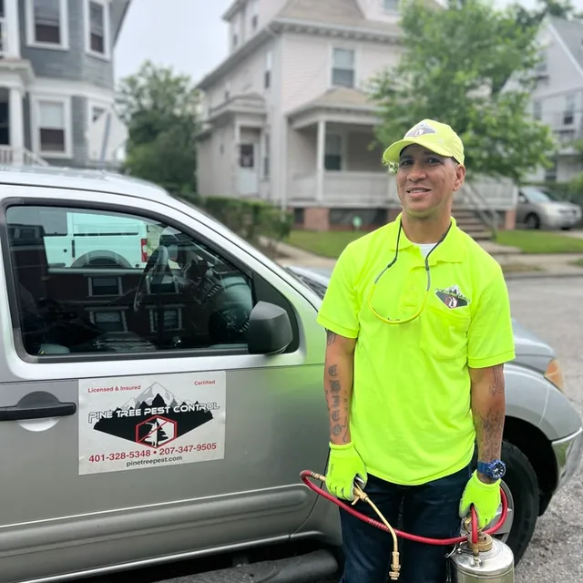 Pine Tree Pest Control work photo
