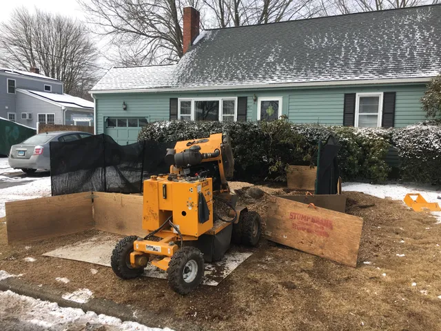 Stump Shark Stump Grinding work photo