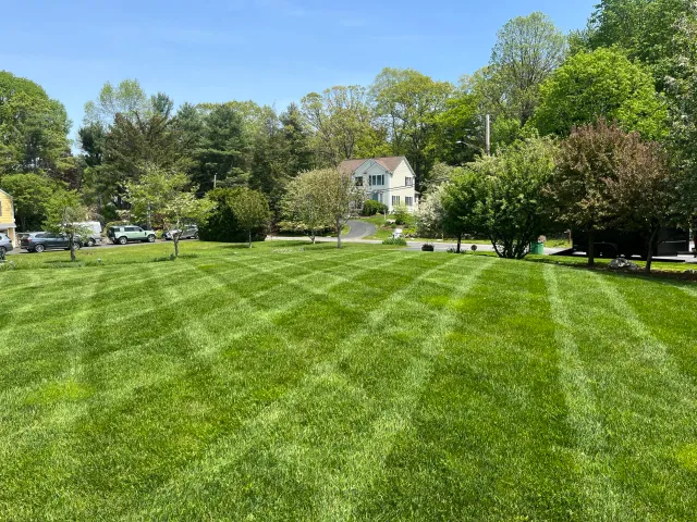 work photo from tedslawnandlandscape.com