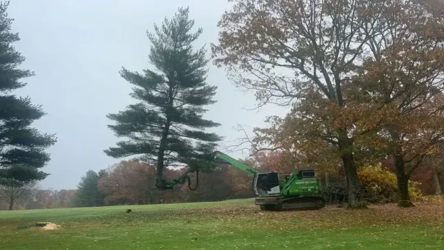 Green tree-trimming machine working on trees in a grassy area with fallen leaves; overcast sky.