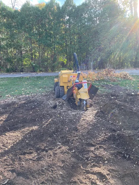 A&A Tree Service LLC work photo