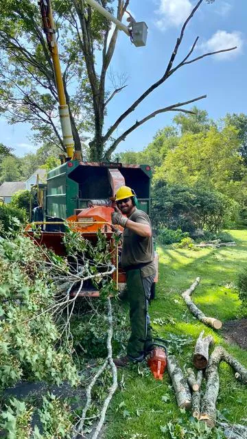 work photo from rttreeremoval.com