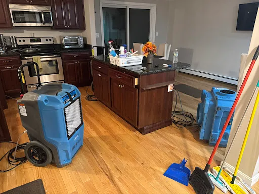 Review photo by Laura Mountain